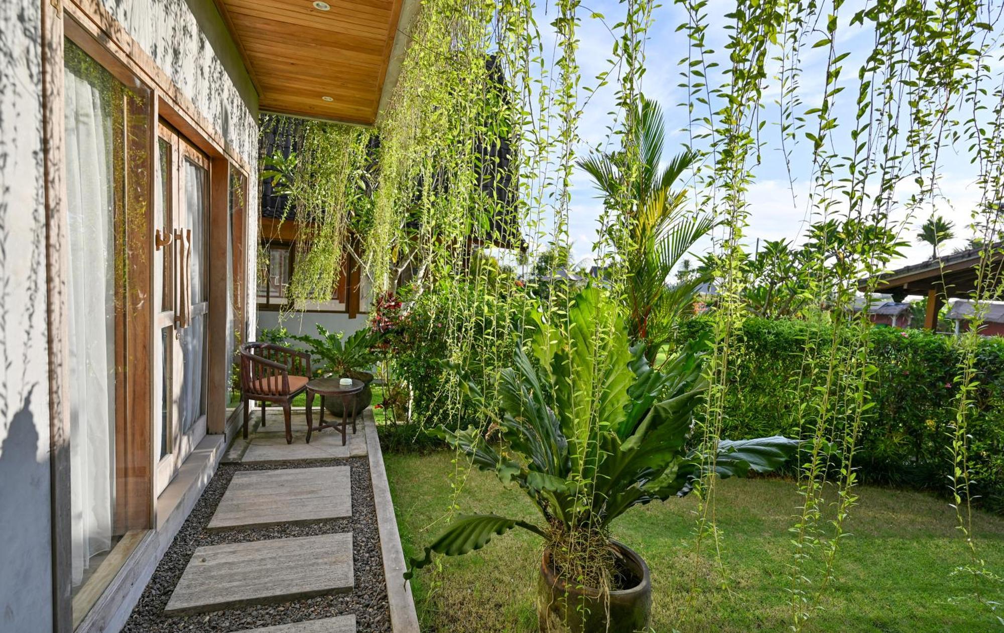Canggu Wooden Green Paradise Номер фото