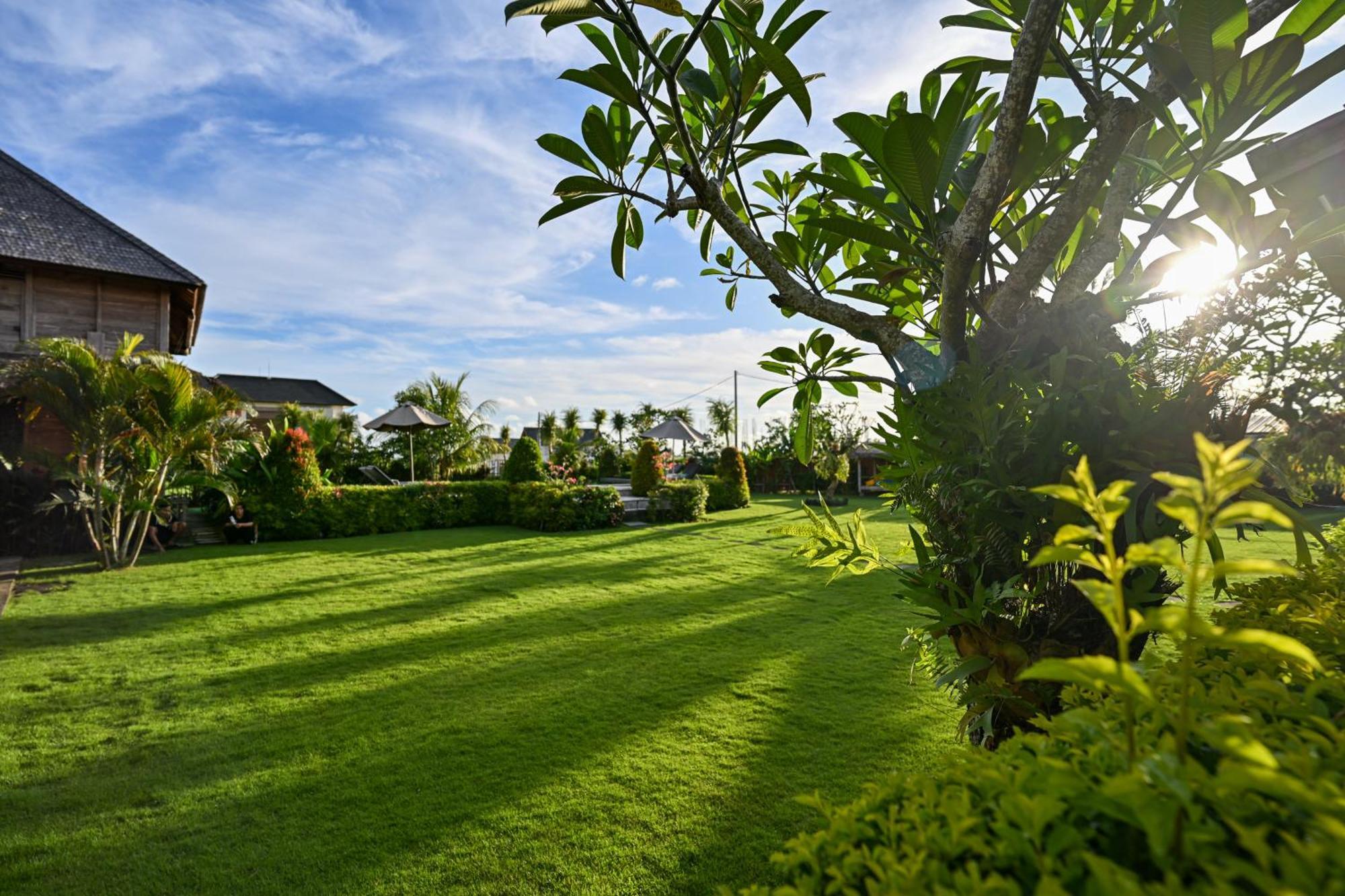 Canggu Wooden Green Paradise Экстерьер фото